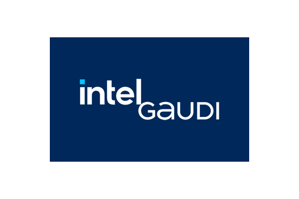 Intel Gaudi