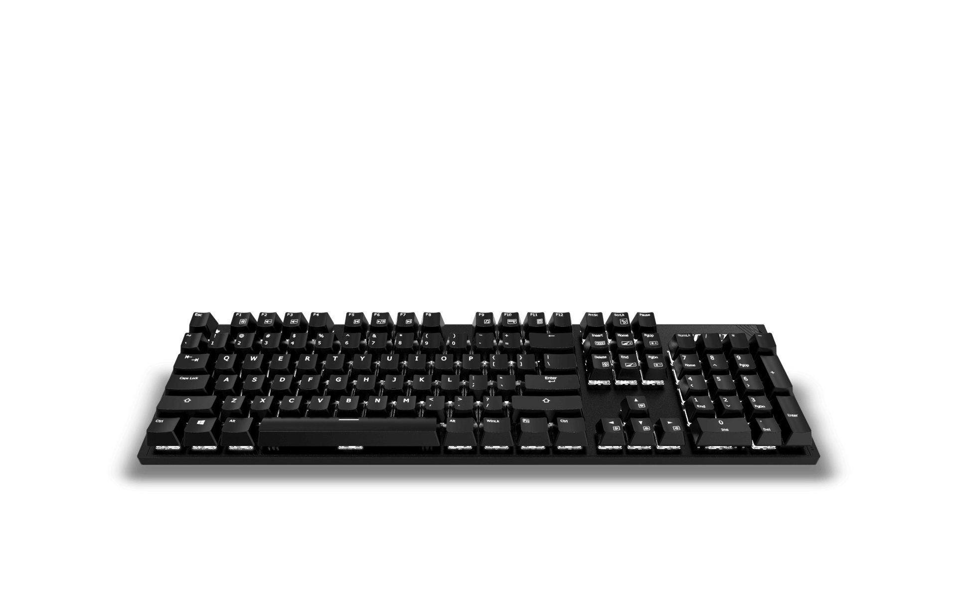 vergesslich Rafflesia Arnoldi Architekt k1 tastatur Datum