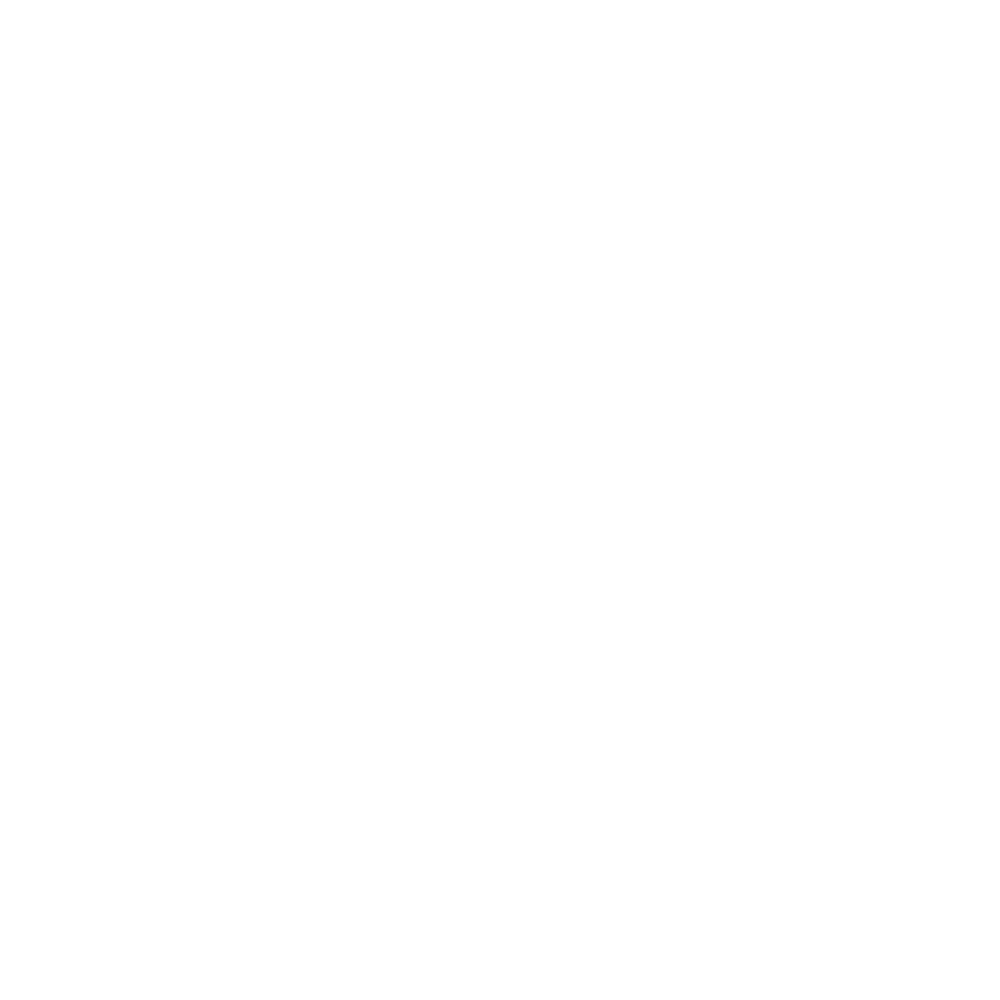 Aorus