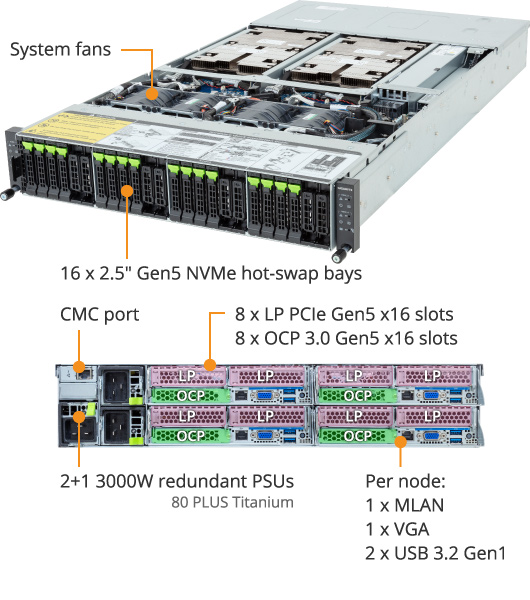 その他 Levia AP Apocalypse AP-M65AN | 6.5