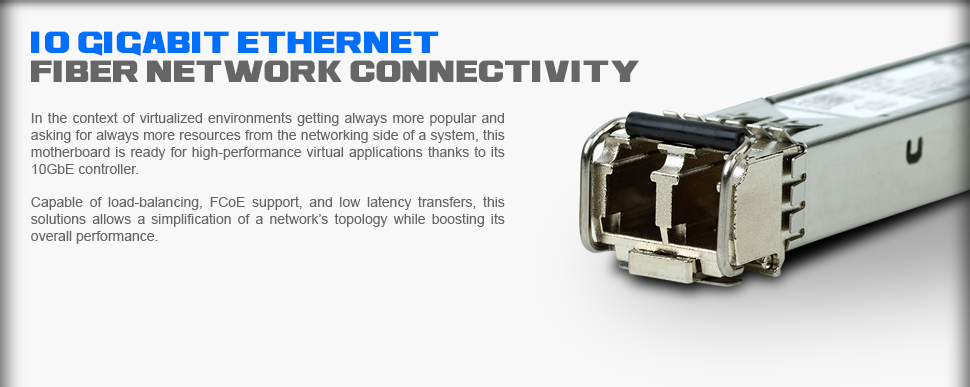 10GbE LAN Controller