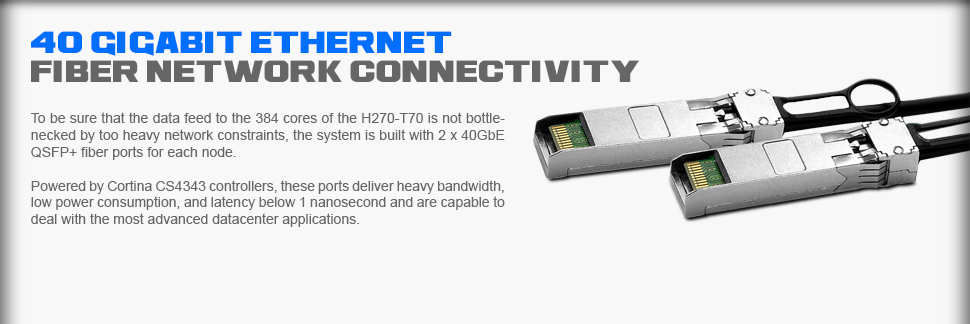 40GbE QSFP+ Fiber Ports