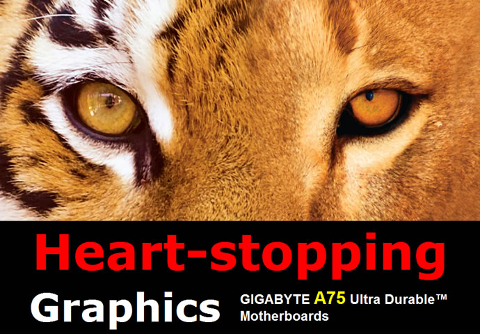 GIGABYTE Announces “A75 OC Challenge” on HWBOT | News - GIGABYTE Global