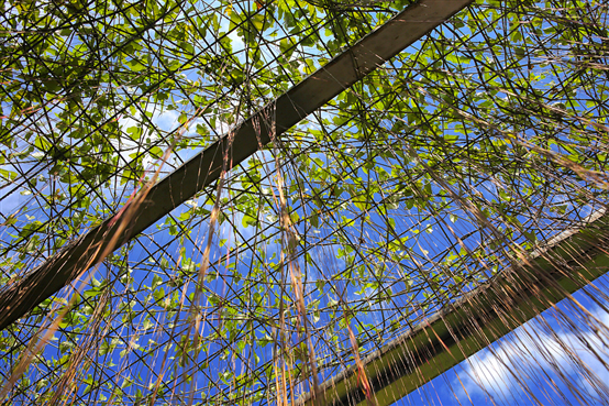 Eco Rooftop at GIGABYTE