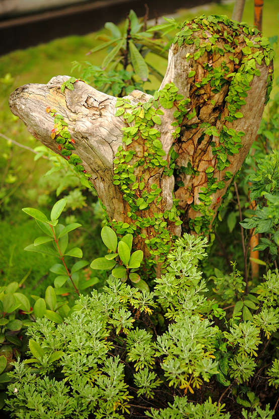 Eco Rooftop at GIGABYTE