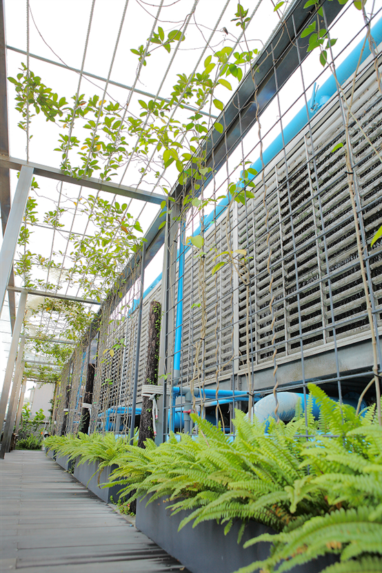 Eco Rooftop at GIGABYTE