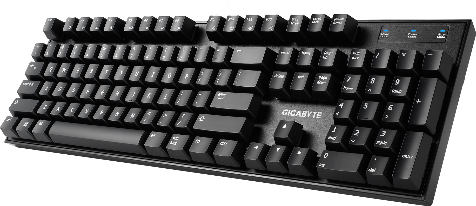 Tastaturi - FORCE K81