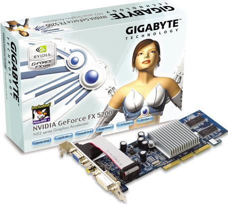 Graphics Card - GV-N52128DS