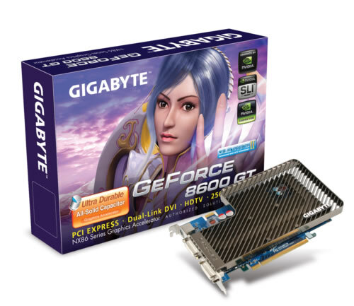 GV-NX86T256H - GIGABYTE Global