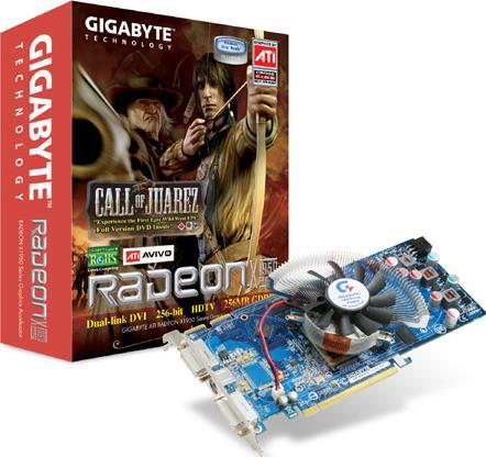 Graphics Card - GV-RX195P256D-RH