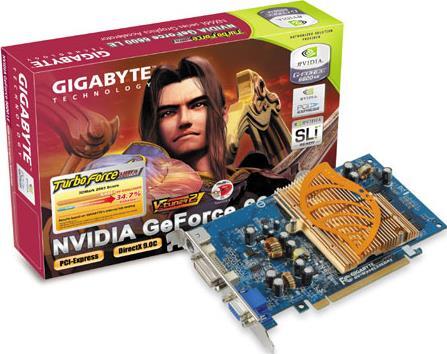 Graphics Card - GV-NX66L256DP2