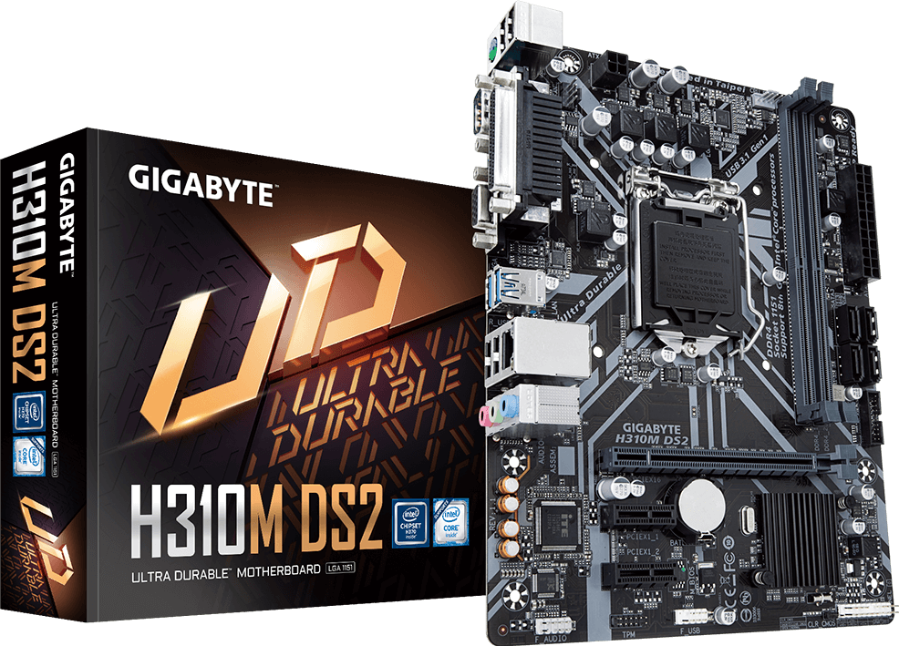 Schede Madri - H310M DS2