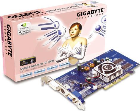 Graphics Card - GV-N55128D