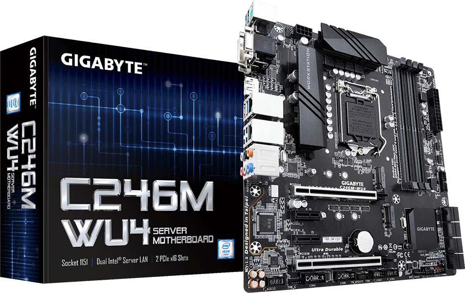 Mainboards - C246M-WU4
