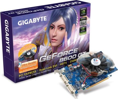 Carte Graphique - GV-NX86T256H-ZL-HM