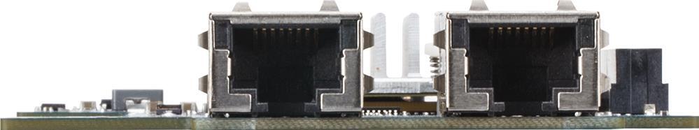 2 x 10GbE BASE-T LAN ports card - GC-MLIZ