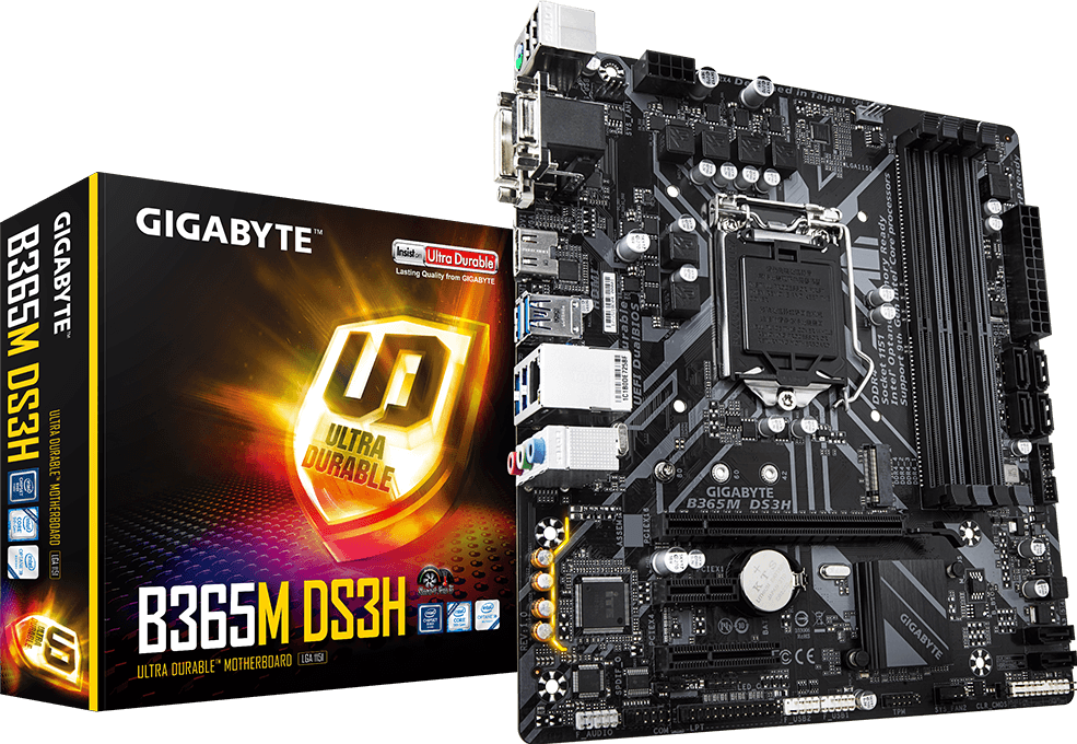 Motherboard - B365M DS3H