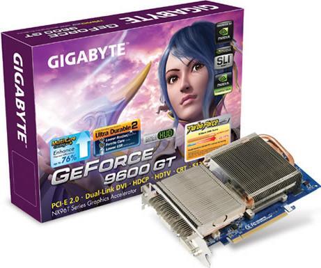 Graphics Card - GV-NX96T512HP
