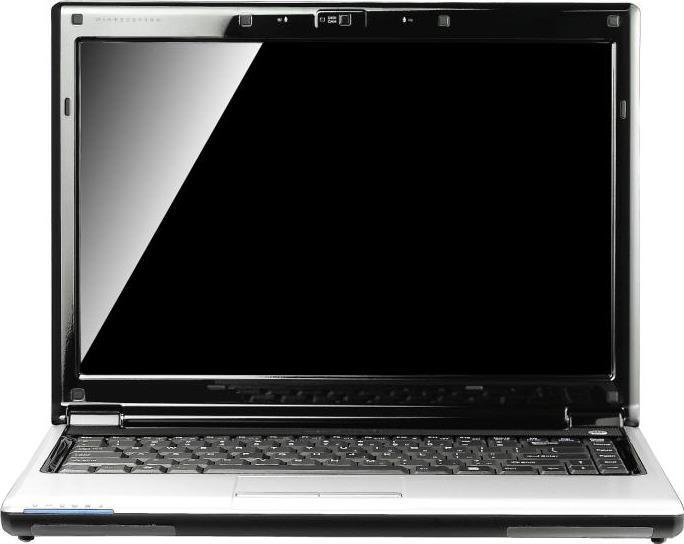 Laptop - W476V