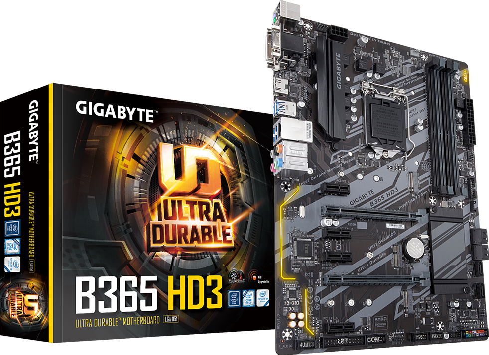 Tarjetas Madre - B365 HD3