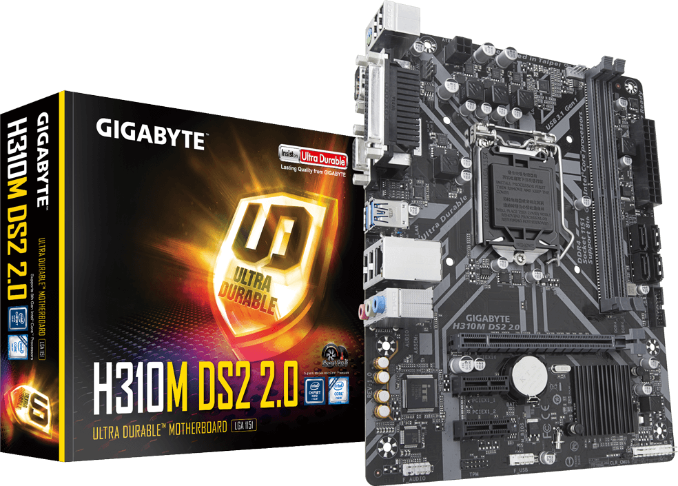 Motherboard - H310M DS2 2.0