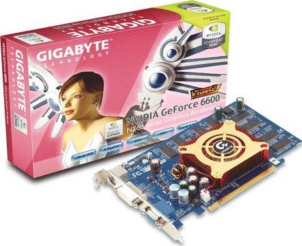 Graphics Card - GV-NX66128D