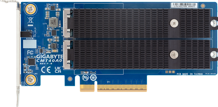 M.2 Expansion Card - 2 x Gen5 NVMe - 2280/22110 cards - CMT40A0
