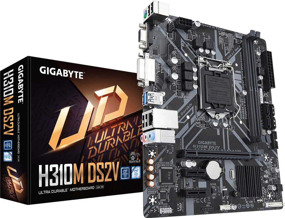 Motherboard - H310M DS2V