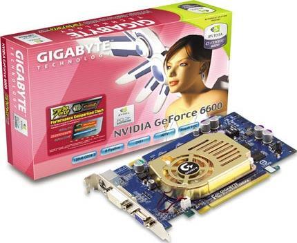 Graphics Card - GV-NX66128DP2