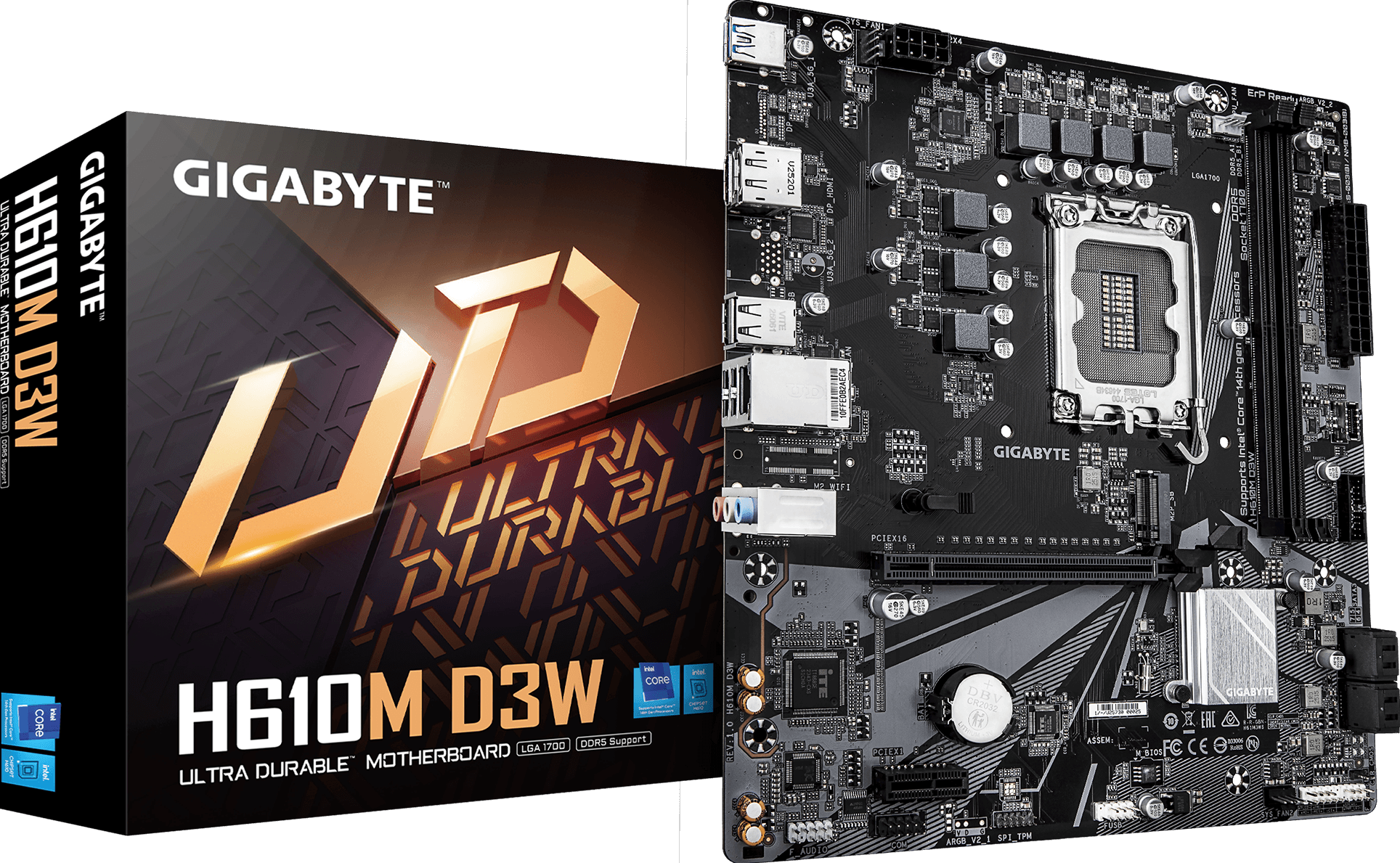 Tarjetas Madre - H610M D3W