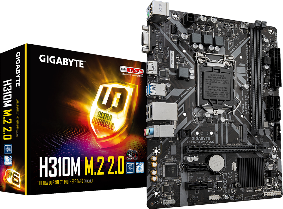 Tarjetas Madre - H310M M.2 2.0