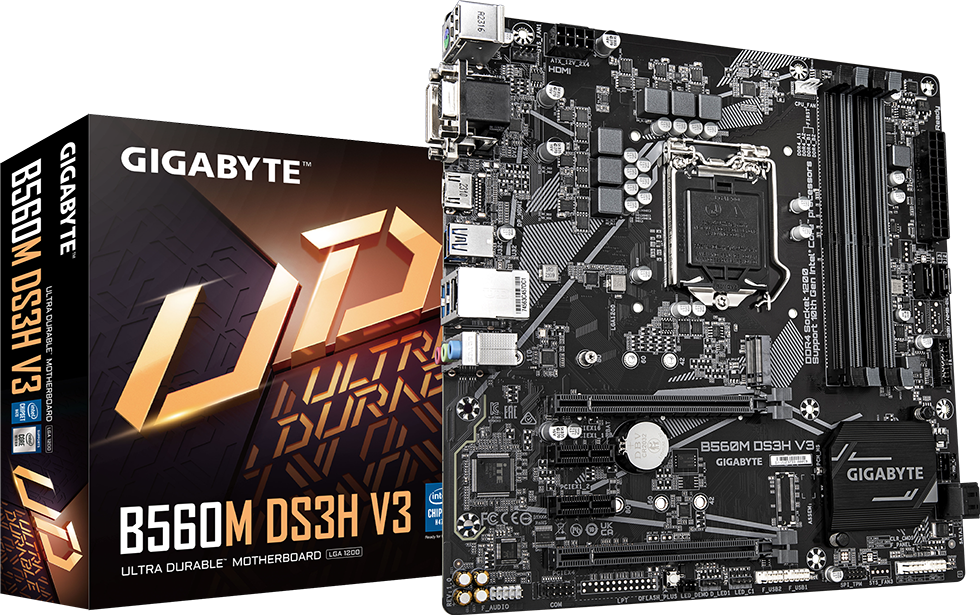 Motherboard - B560M DS3H V3