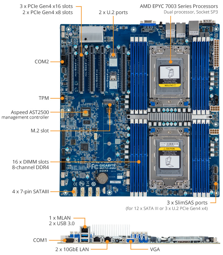 Amd dual processor motherboard sales