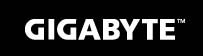 gigbyte